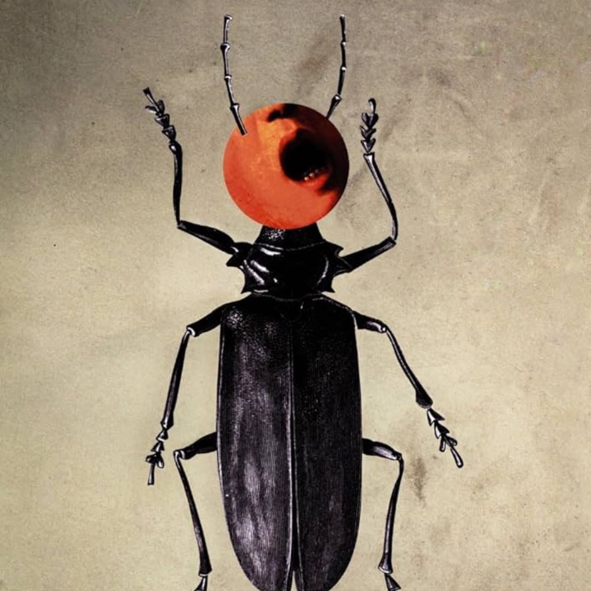 La metamorfosis - Kafka