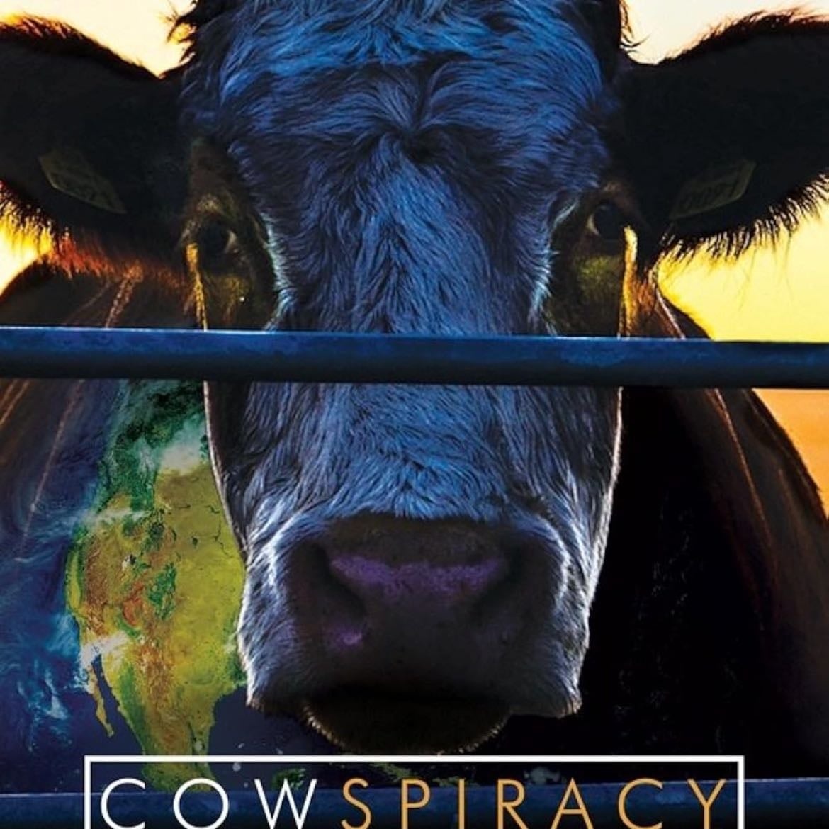 Cow spiracy