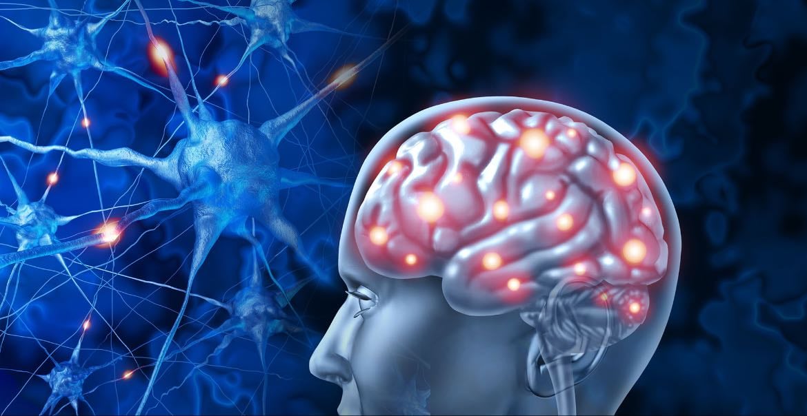 Neuroplasticidad