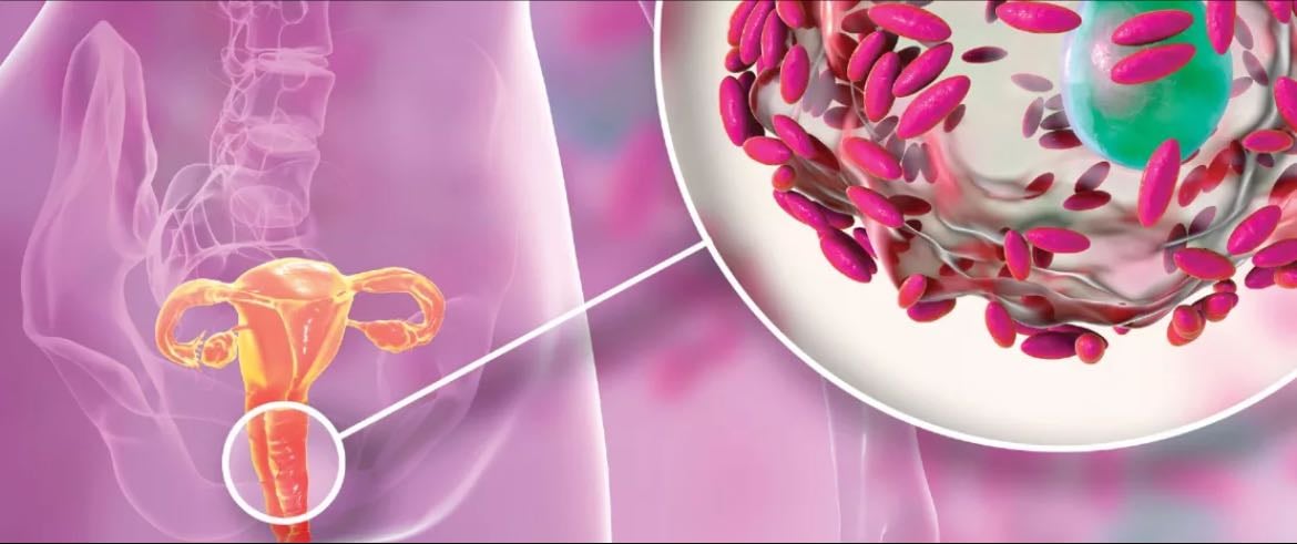 Microbiota