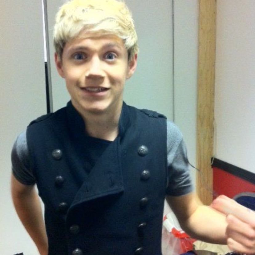 niall horan馃馃徏 - niall is my favorite artist because his songs are just so real and i relate to loads of them so much, and even the ones i don鈥檛 relate to are just absolute bangers. He鈥檚 got such a heart of gold and at his shows he always interacts with the crowd, is so sweet to the fans, and he鈥檚 just such a good person. (literally said never grow up was about him and the fans?). also at his shows he always makes sure to acknowledge that it鈥檚 not easy to get to concerts nowadays and thanks everyone for showing up for him. I just love how he sees the world and is so carefree. he鈥檚 helped me so much i just really love him 馃馃徏馃馃徏