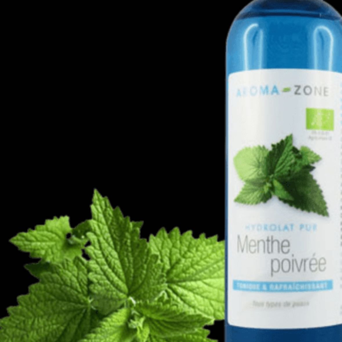 Menthe