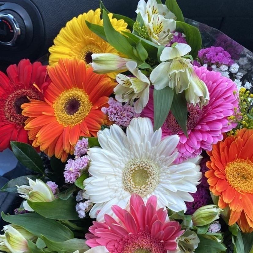 Flores de todo tipo