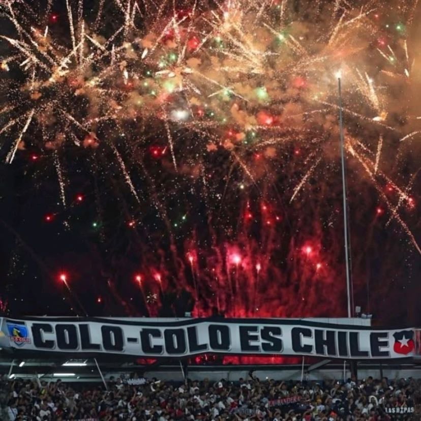 Colocolo💞