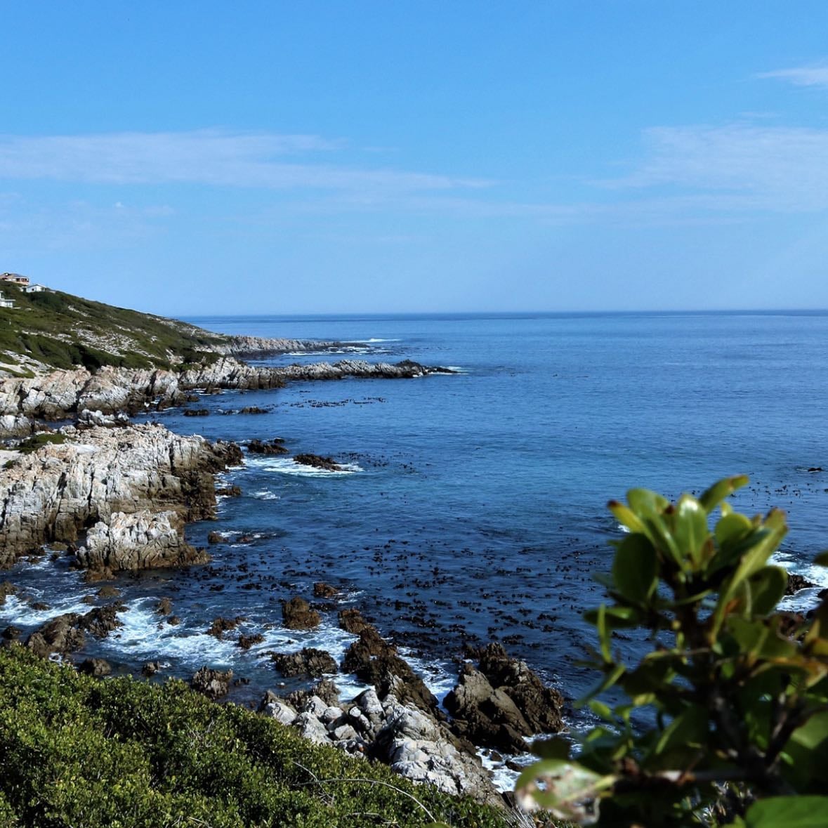 Gansbaai