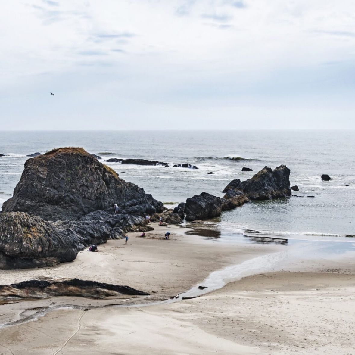 Seal Beach