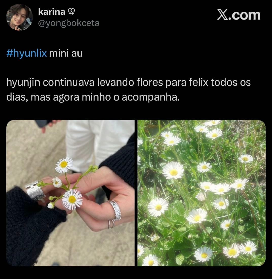 … - Hyunlix twitter au