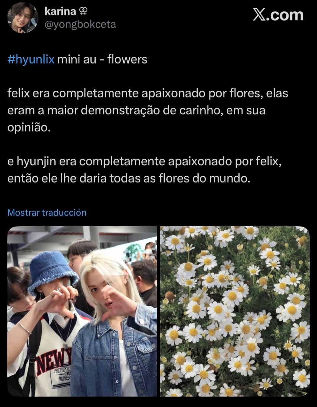 Flowers - Hyunlix twitter au