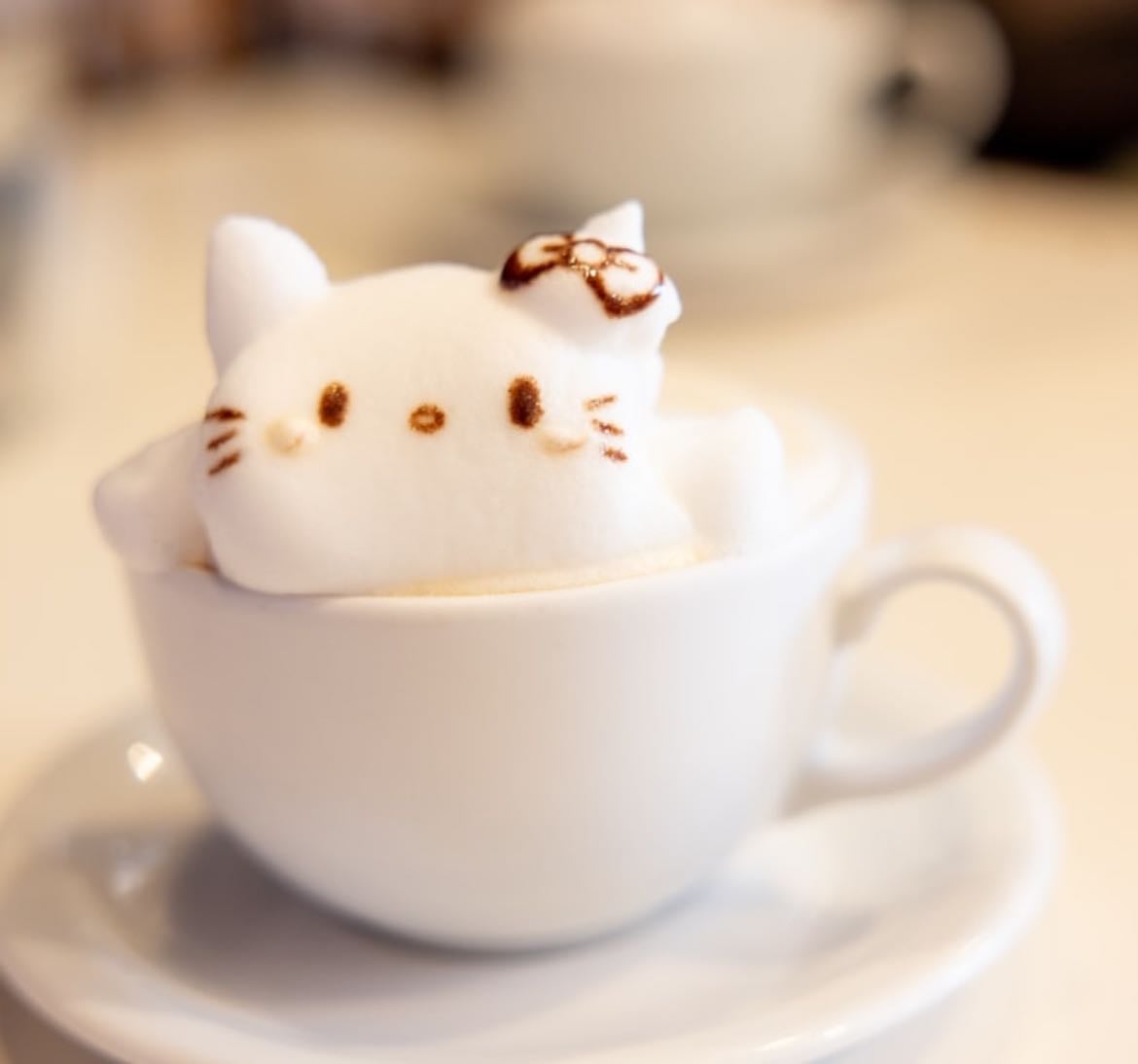 coffee tour ⊹˚₊⊹˚ʚ☕️੭