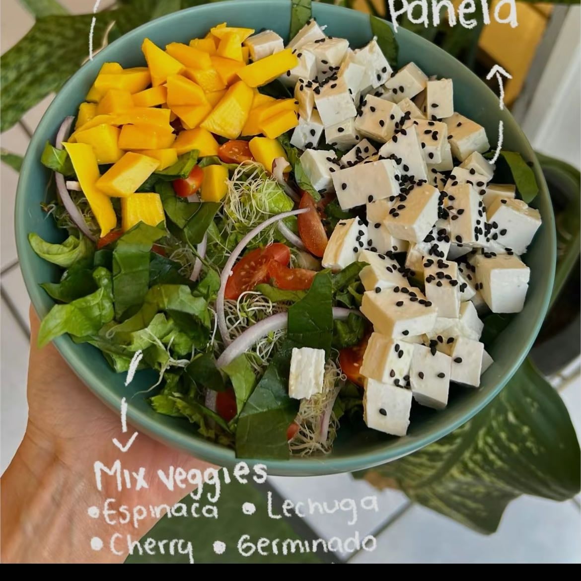 Ensalada de mango