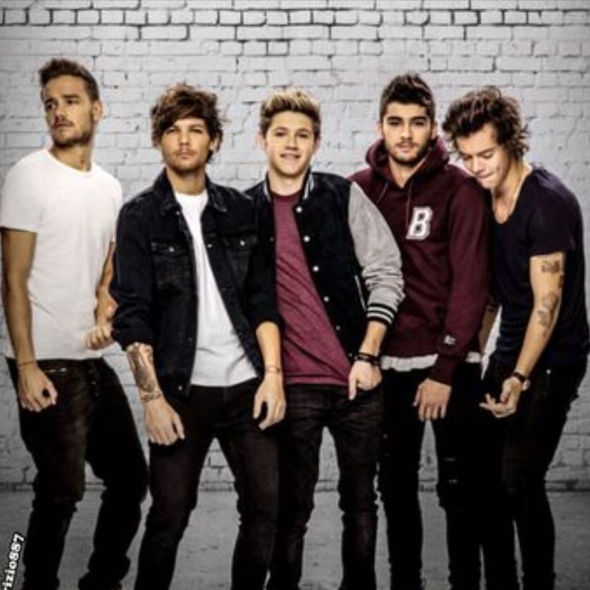 i know there's nothing i can do to change it but is there something that can be negotiated” - love you goodbye- one direction- harry