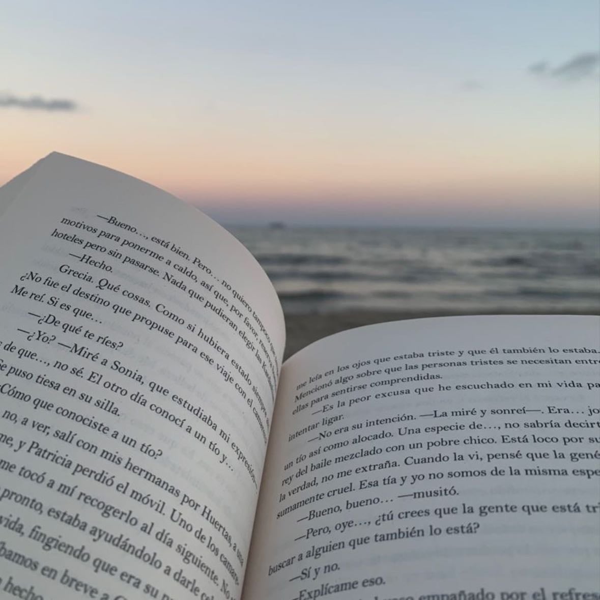 Libro - (Opcional)