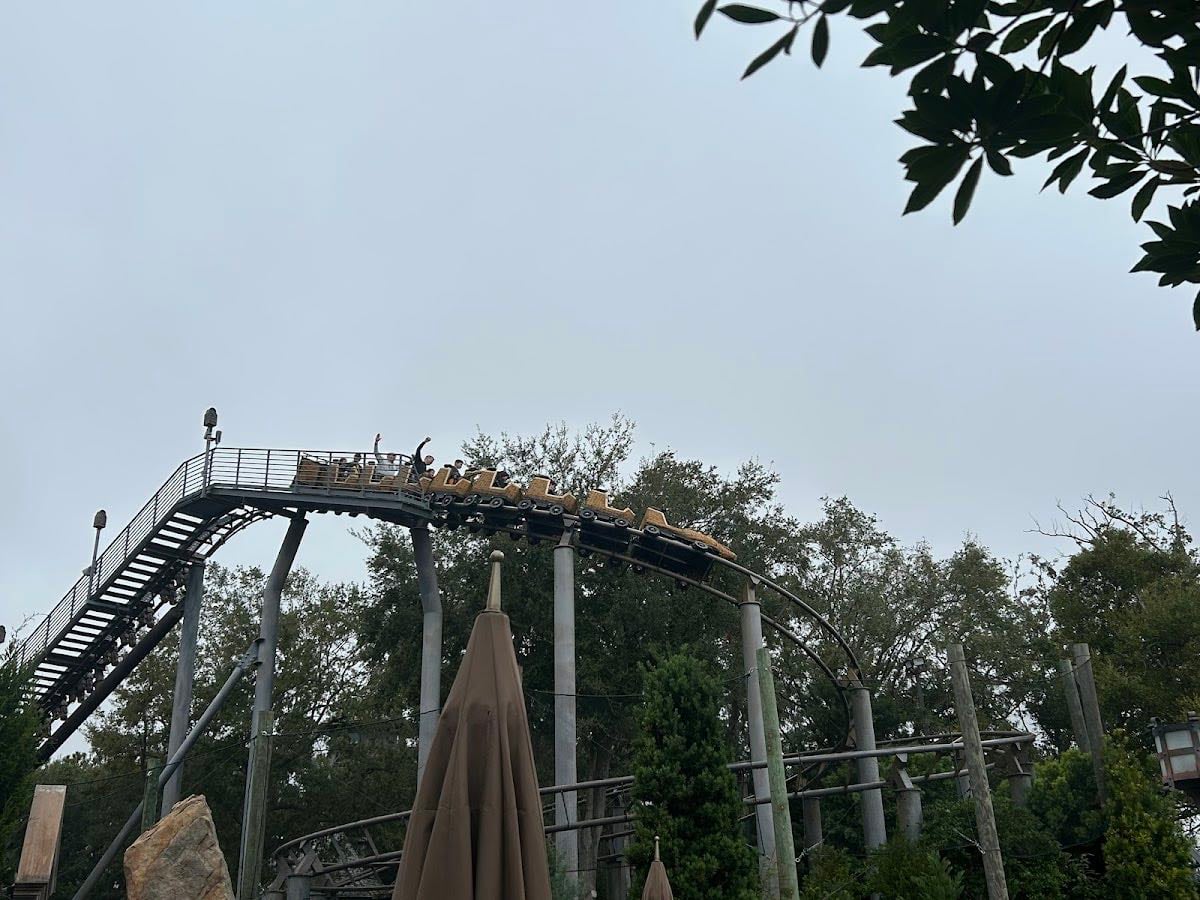 Flight of the Hippogriff