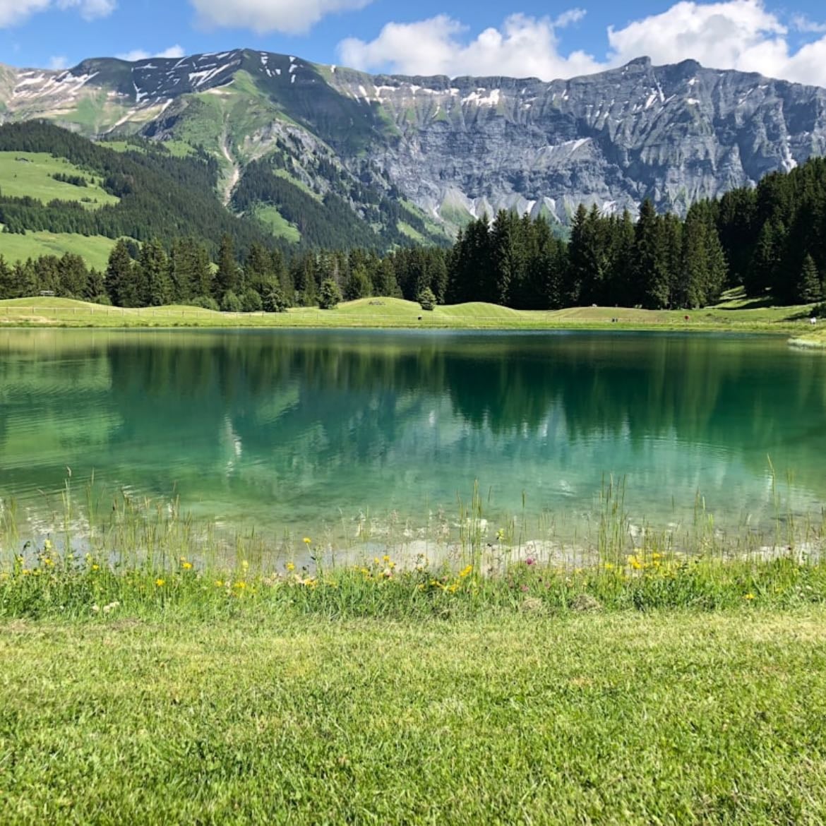 Alpes