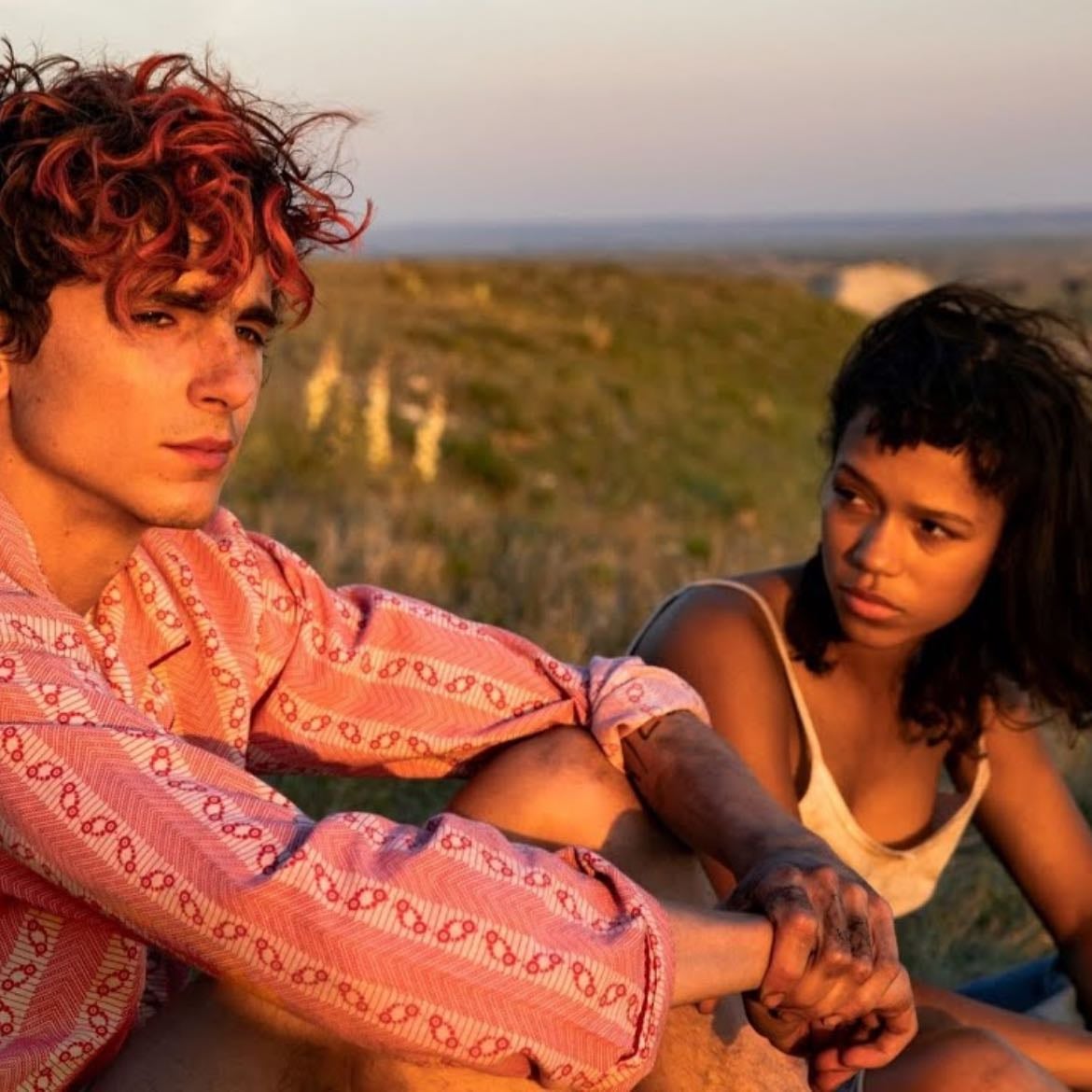 Hasta los huesos: Bones and All - Luca Guadagnino · 2022