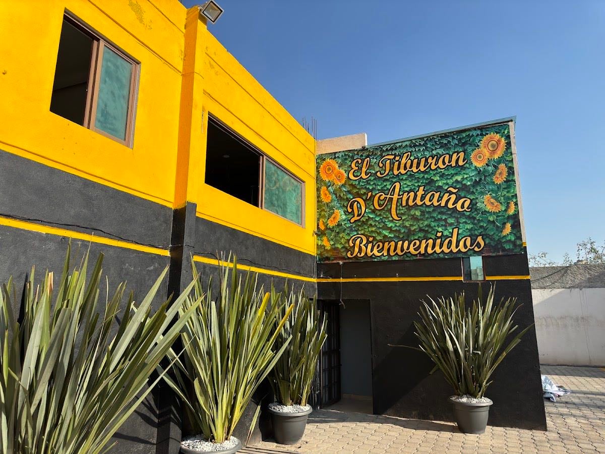 El Tiburón D’ Antaño