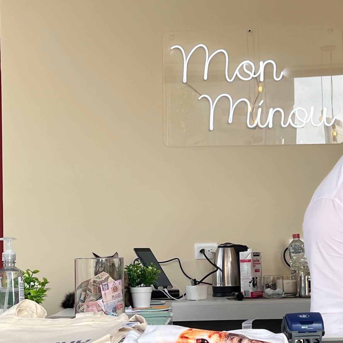 Mon Minou - Cafetería francesa donde hay gatitos 🐈⬛ 🥹 sales de ese lugar con una sonrisa, aparte de que si está buenoo, mi recomendación: El croque mexicain