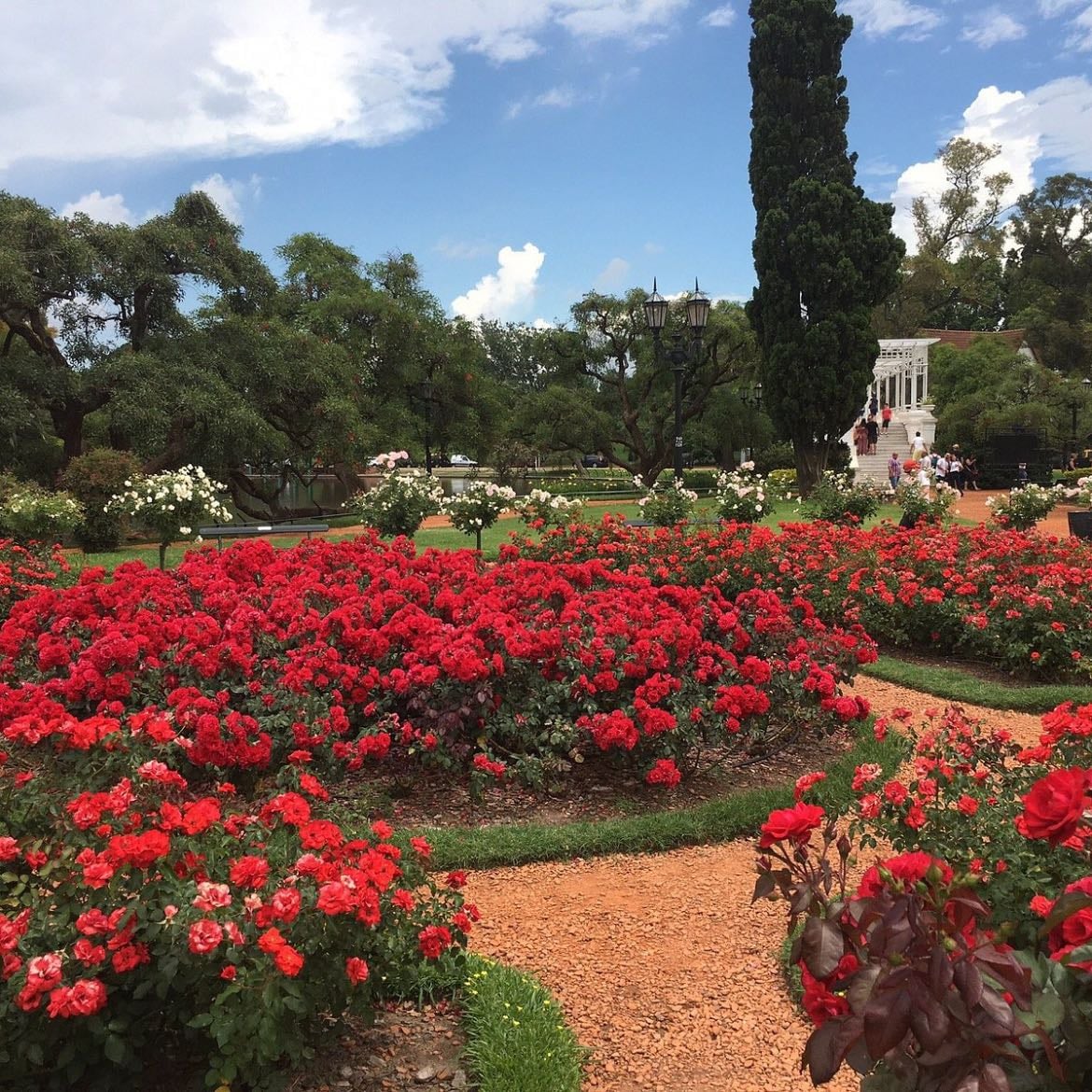 Rosedal - Situado en Palermo la entrada es gratuita y lo mejor es visitarlo en primavera