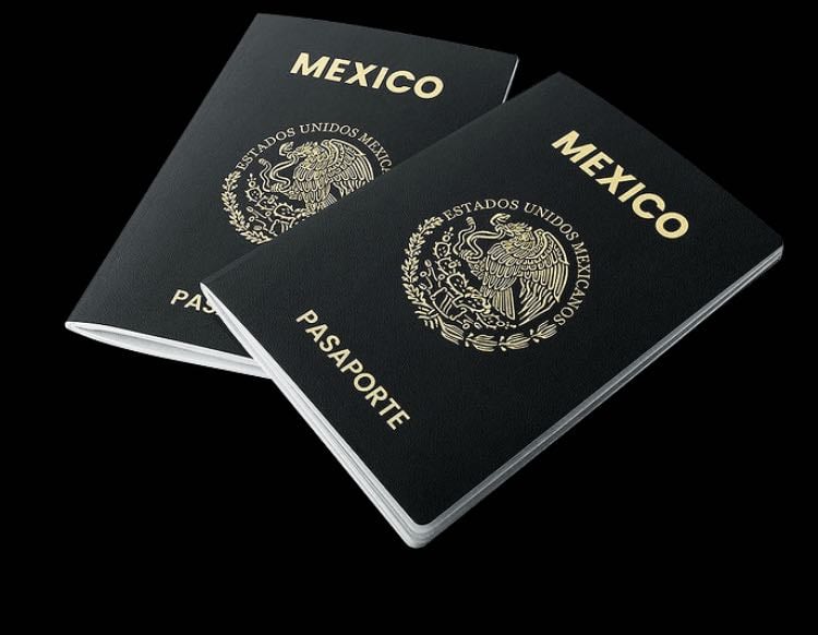 Pasaporte - Pasaporte vigente