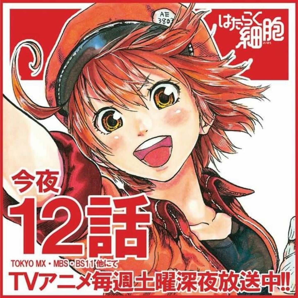 Cells at Work! - 2018