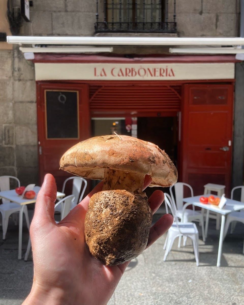 La Carbonería | Restaurante Plaza Mayor