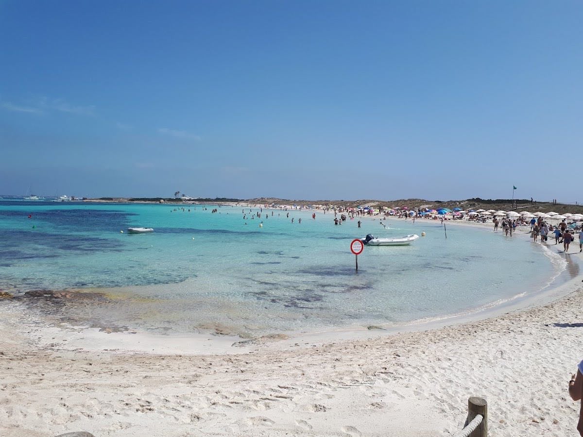 Ses Illetes