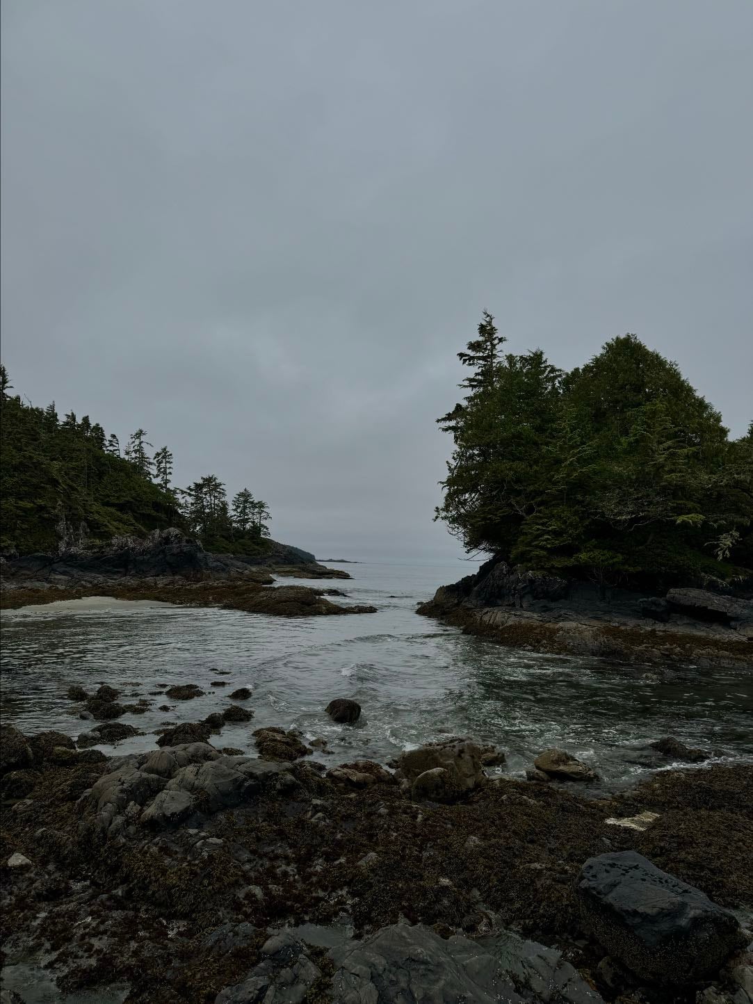Tofino - june 2025