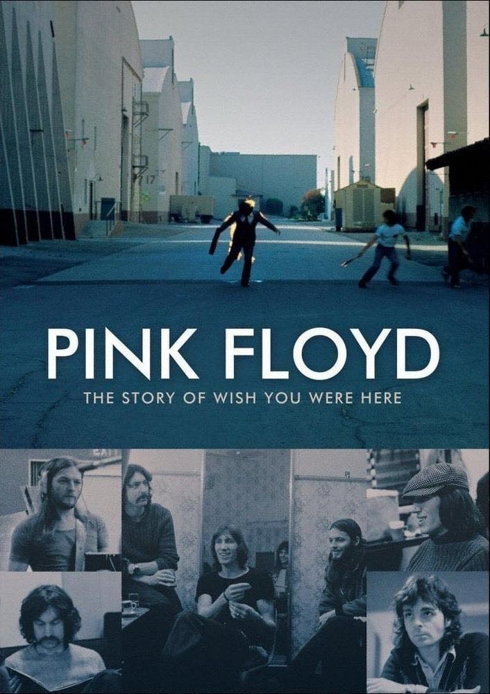 Pink Floyd: The Story of Wish You Were Here - John Edginton · 2012