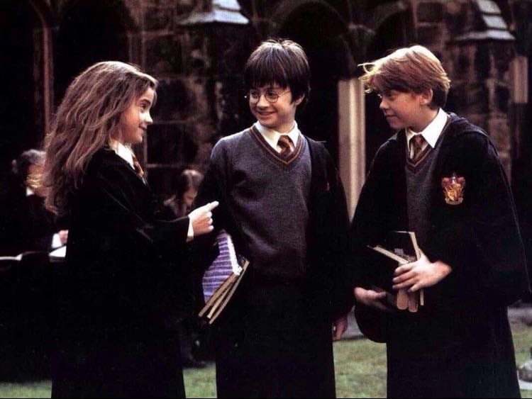 Harry Potter and the Philosopher's Stone - Chris Columbus · 2001