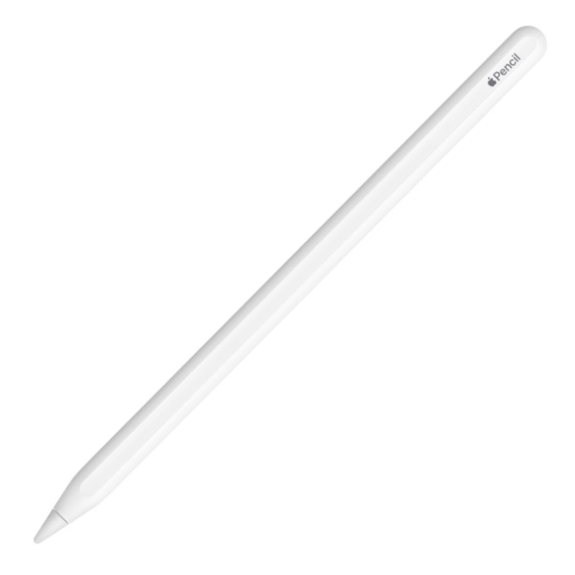 Apple Pencil segunda generación - Ilustración en iPad