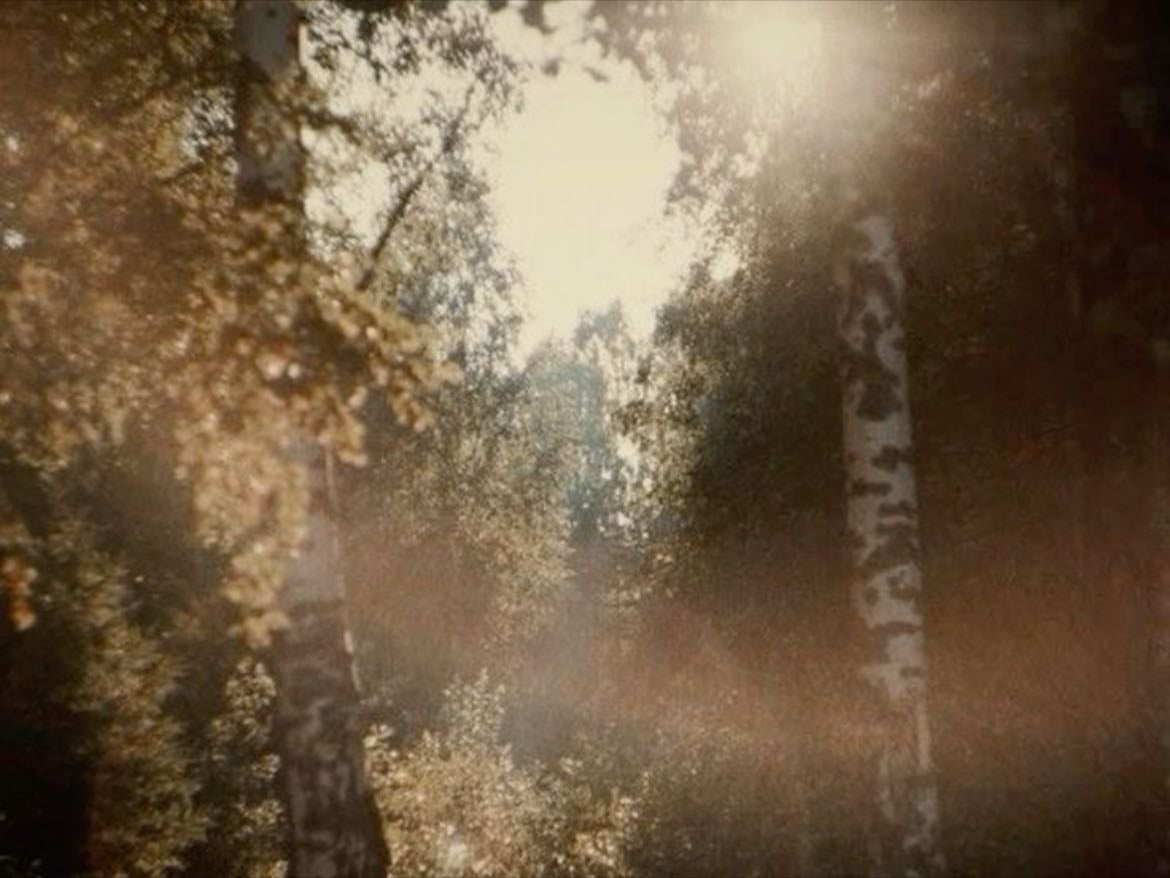 metamorphoses - Ovid • 2004