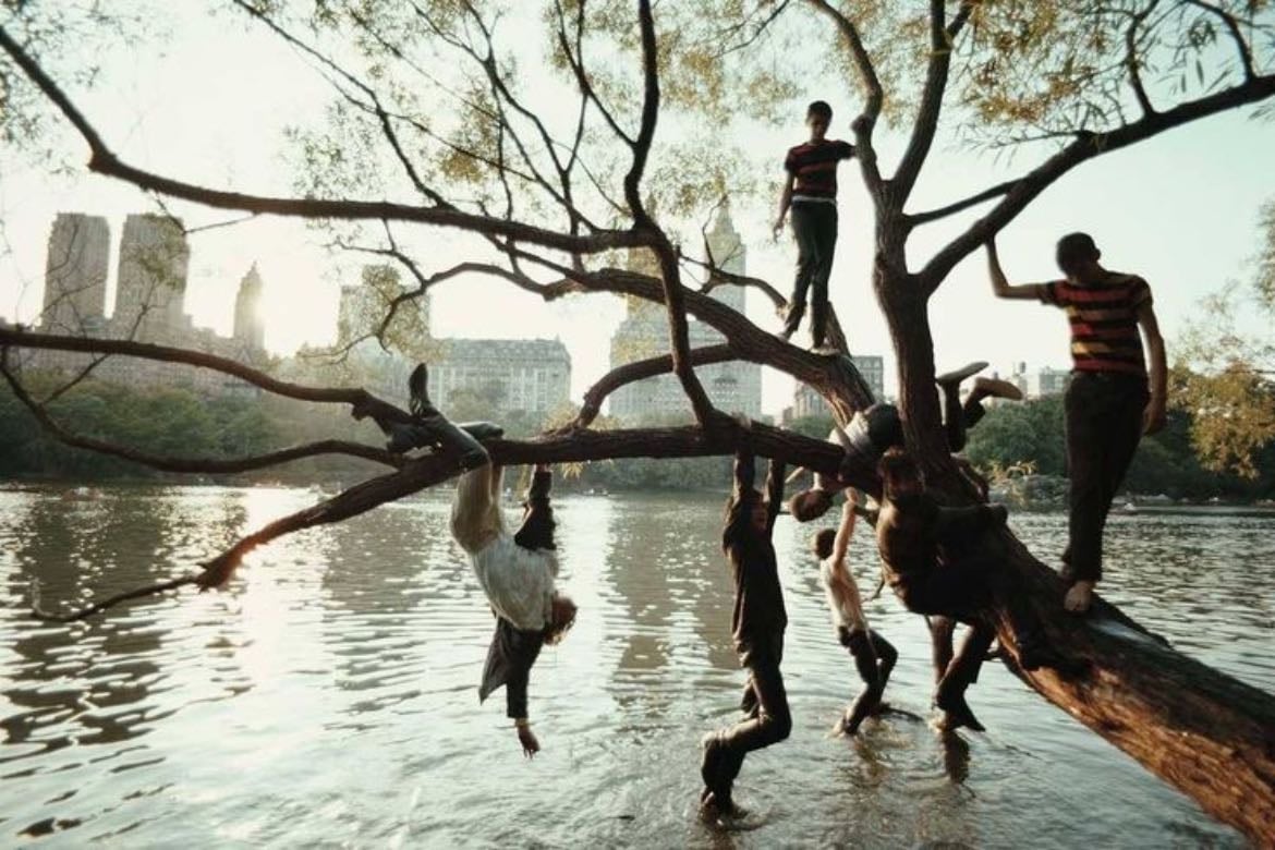 metamorphosis - Franz Kafka • 2008