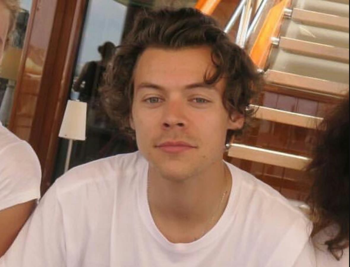 My fav harry styles Eras