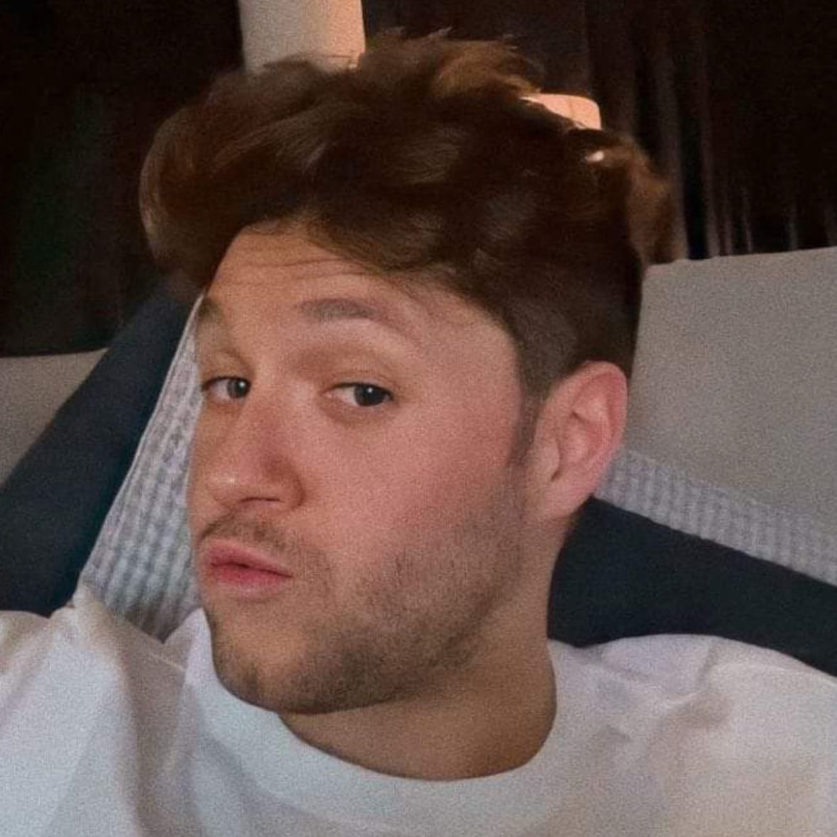 Niall - Come on barbie let's go party ah ah ah yeah