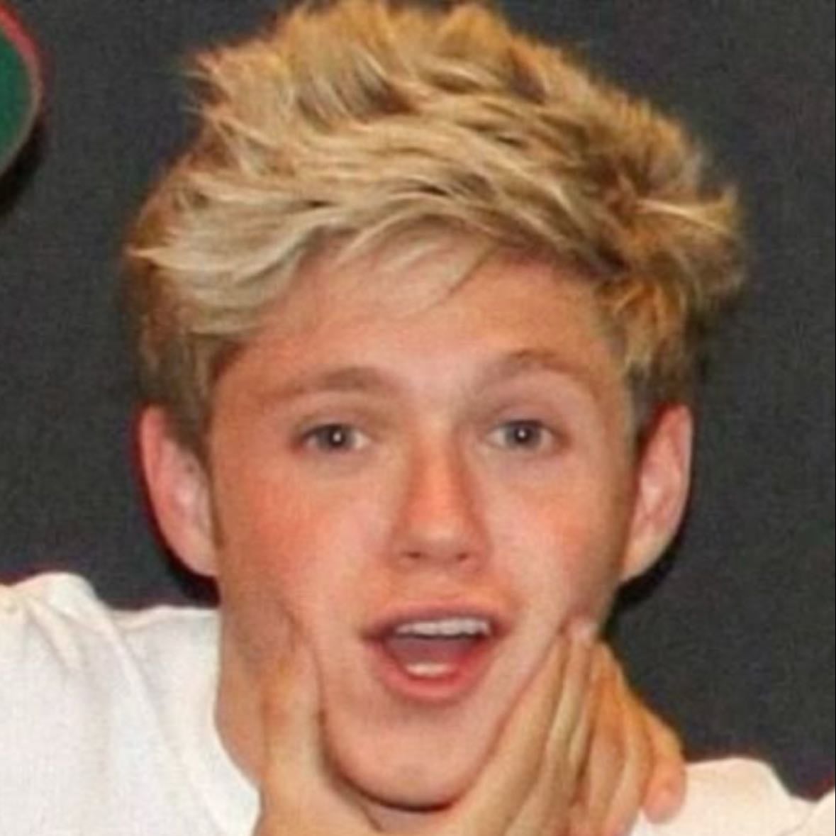 Niall - Because he is funny and sooo cute and if im sad i just listen to his songs and they just make me smile and it makes me so happy i love them all but niall just stands out to me💓💕🩷