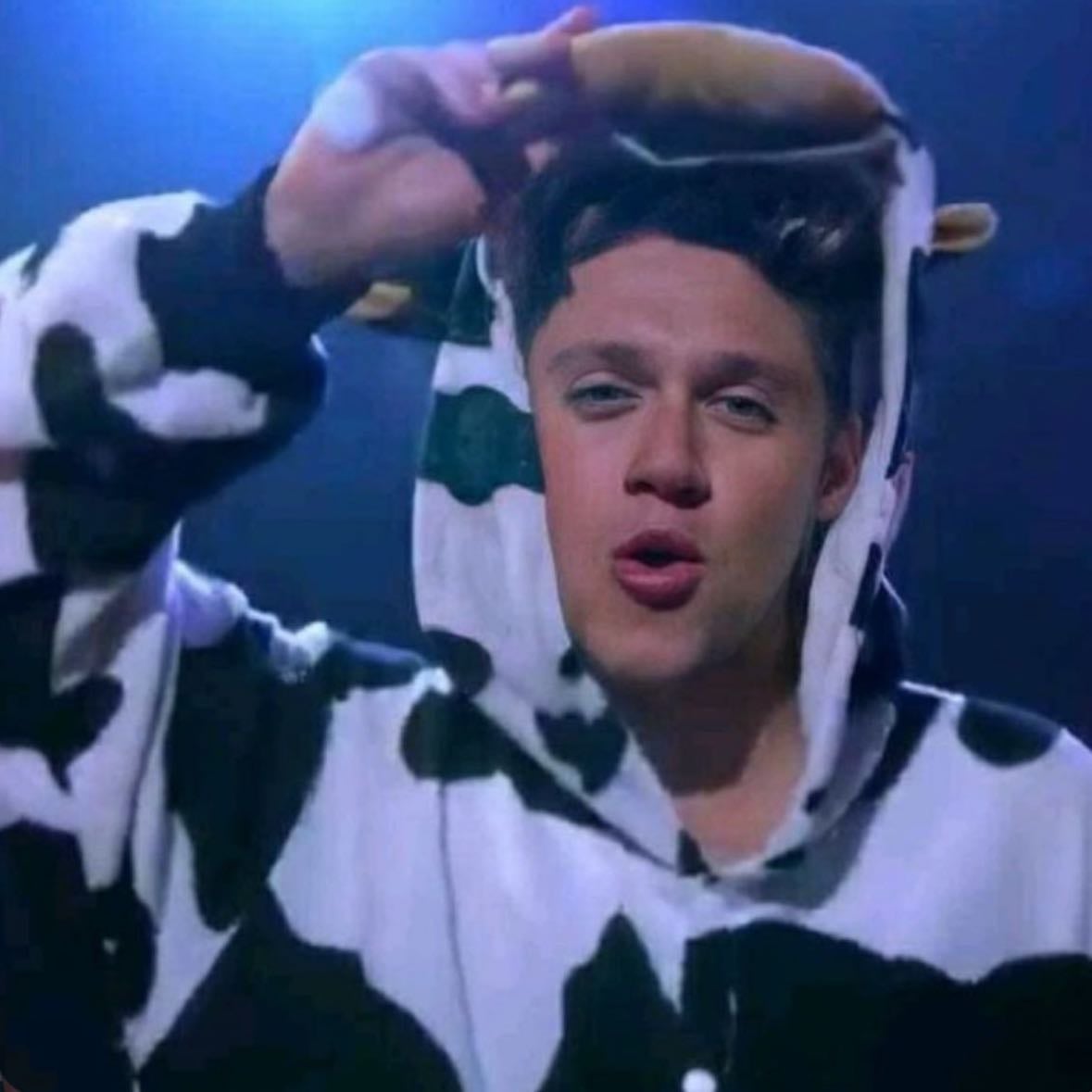 Niall - Potatooooooo!!!!!!