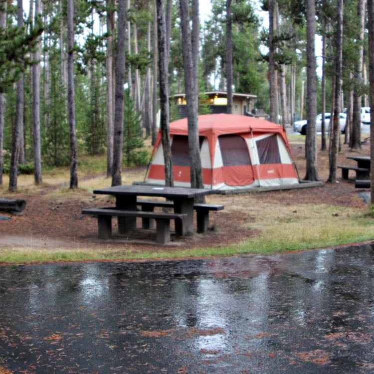Madison Campground - Yellowstone NP