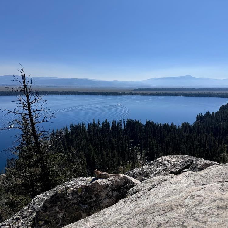 Inspiration Point - Grand Teton NP