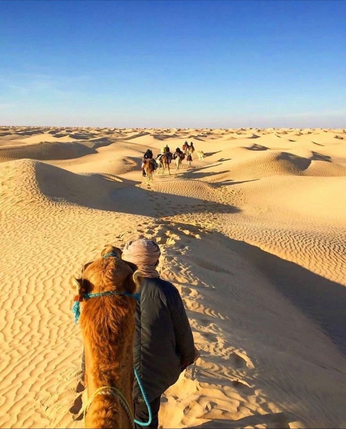 Tunisie