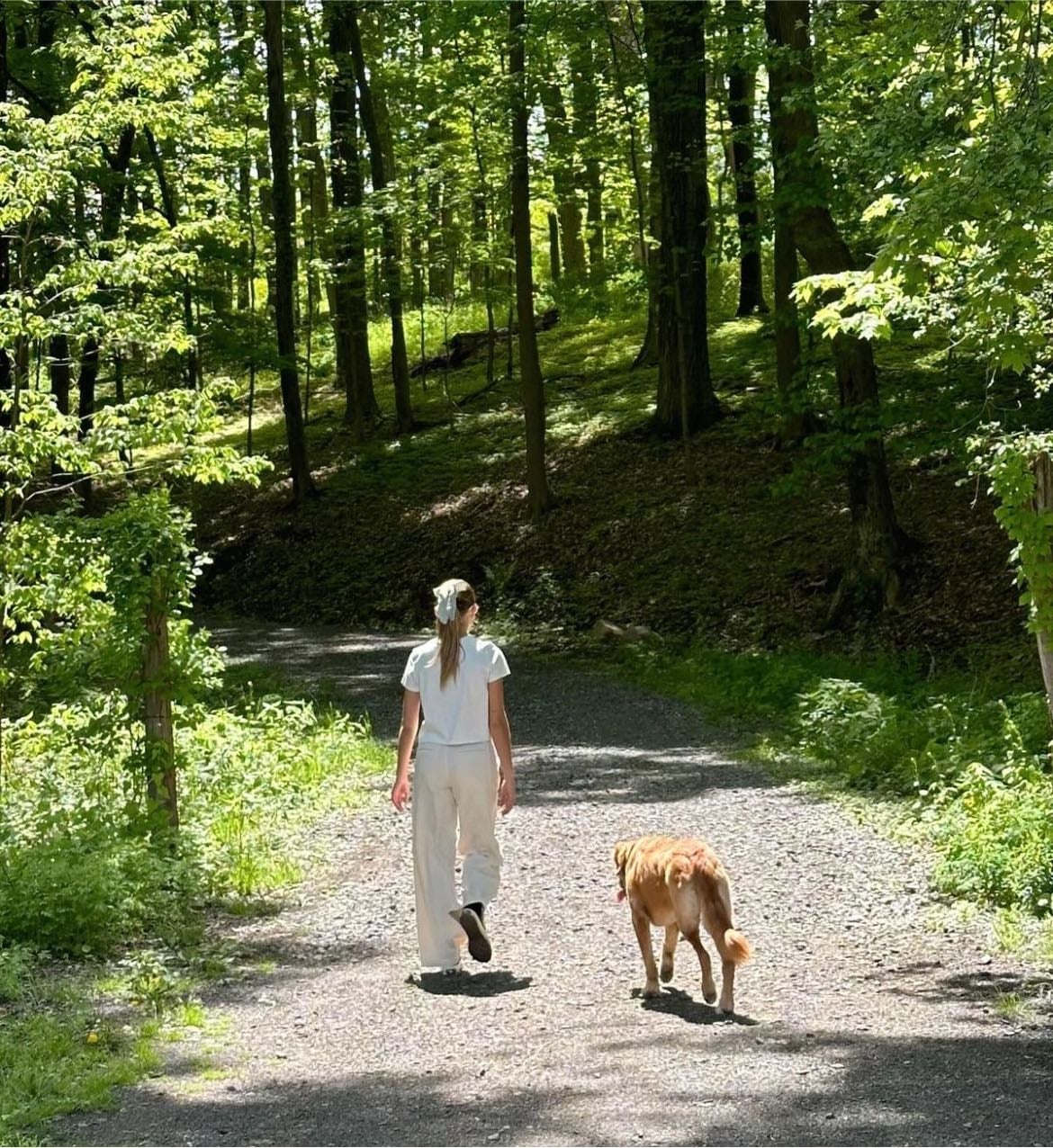 Walk in nature - Slow Mouvement