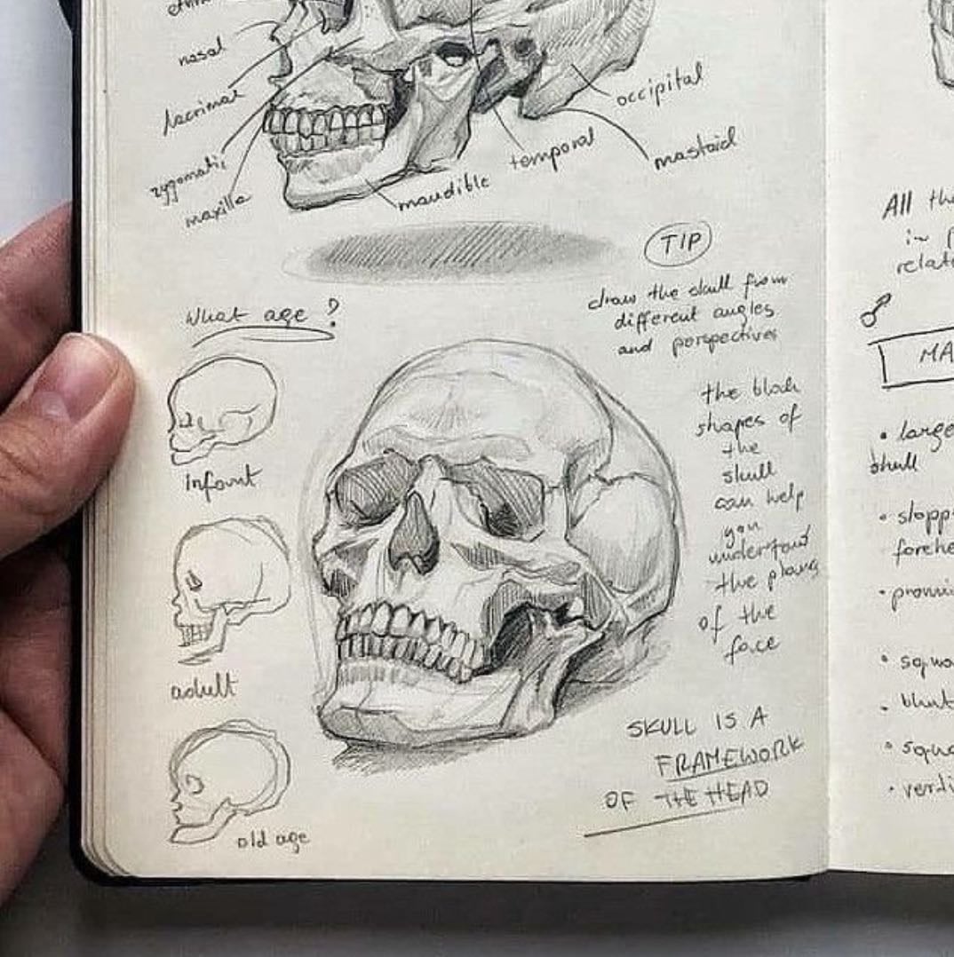Learn how to draw - Take a course on YouTube
