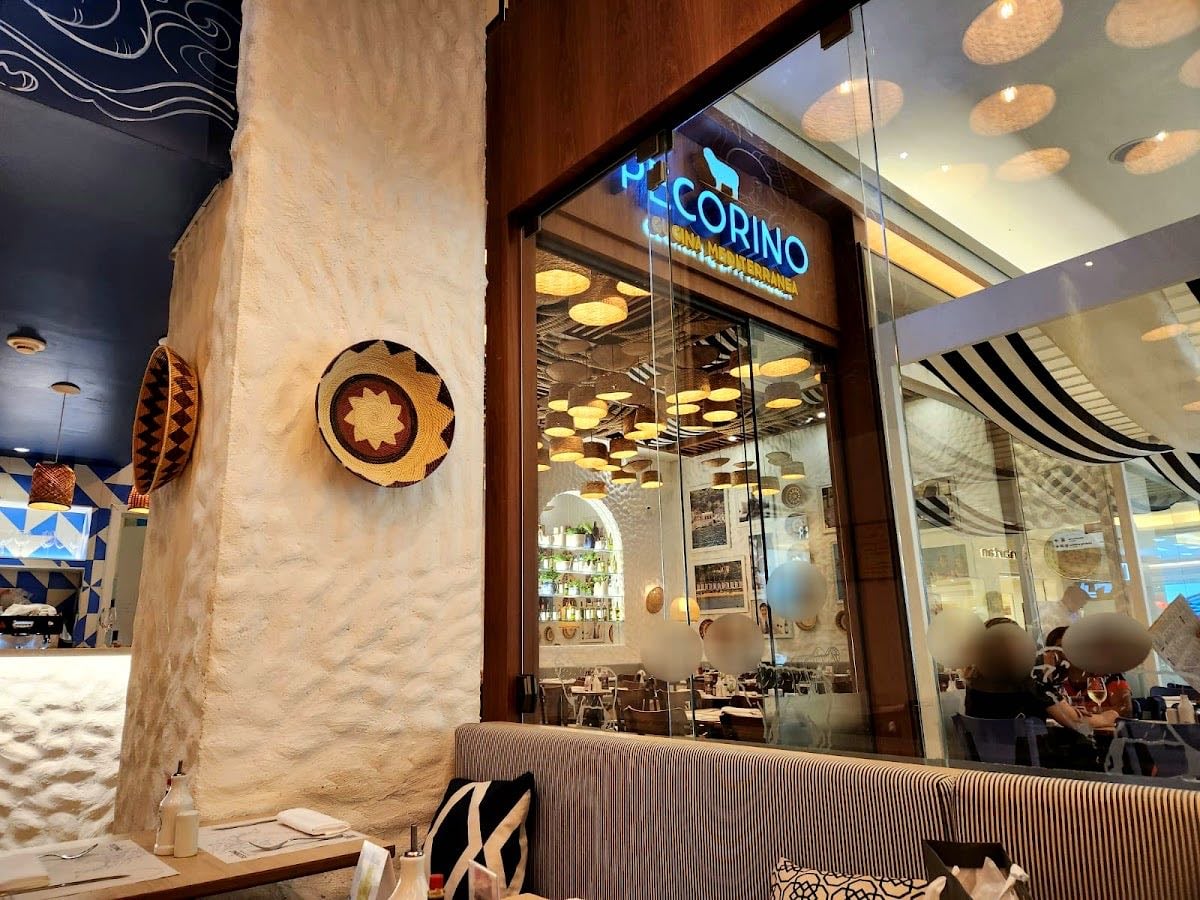 Pecorino Cucina Mediterranea Cidade São Paulo: Massas, Risoto, Pizza, Vinhos SP