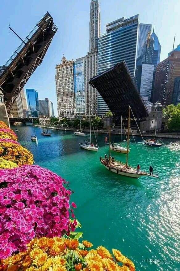 Chicago - need to see what so special about the summer in chicago