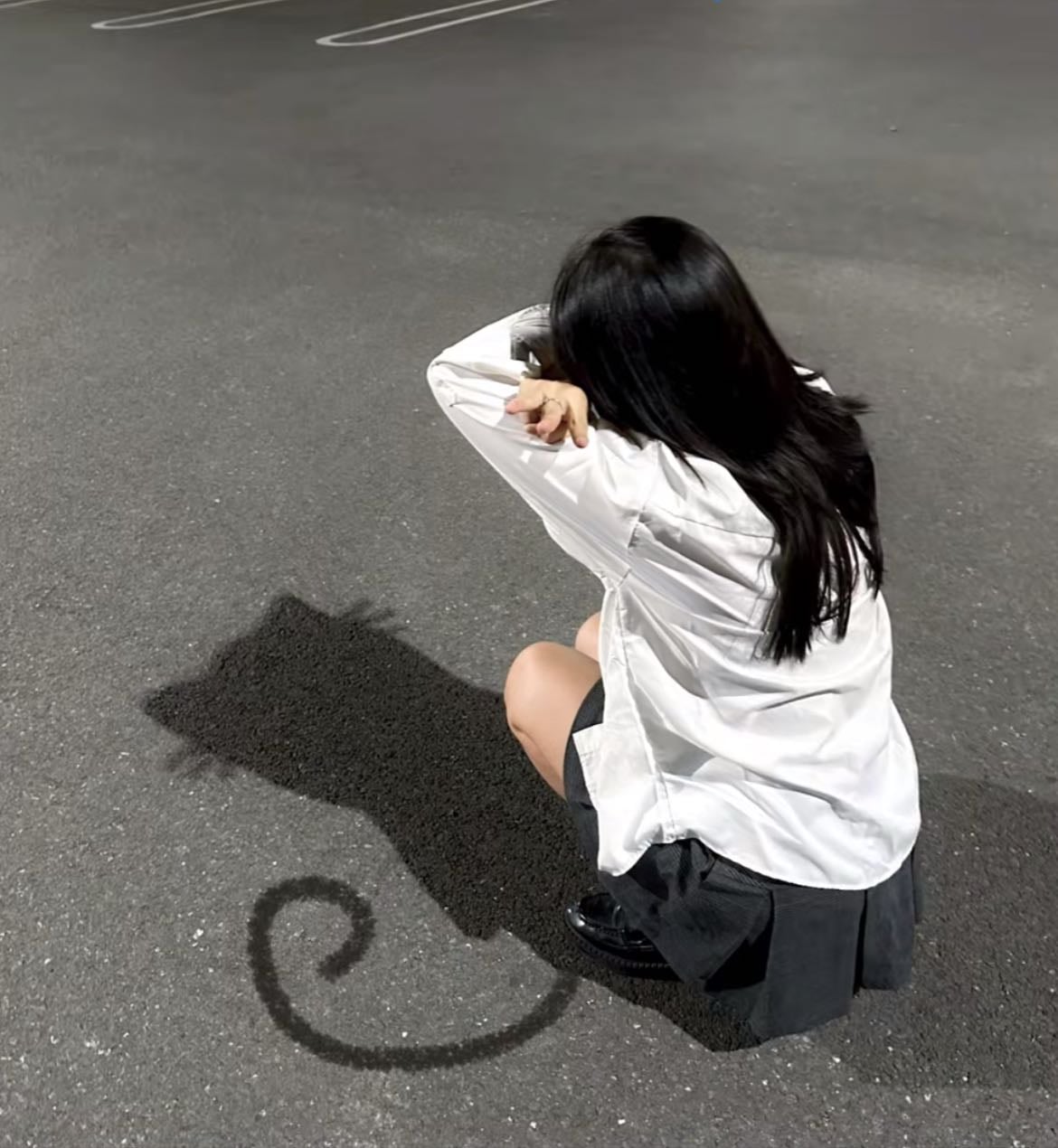 cat shadow