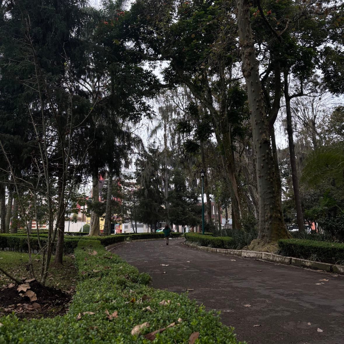 Los Berros