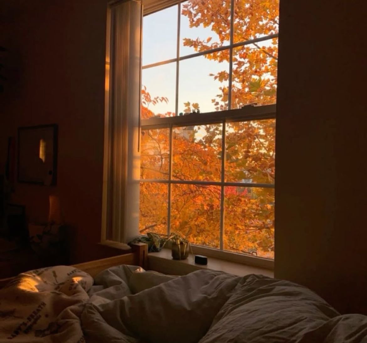 Autumn essentials - Products hypelist by Belle <3