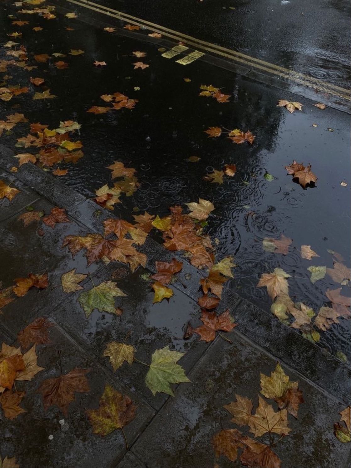 Rainy weather - Especially in autumn