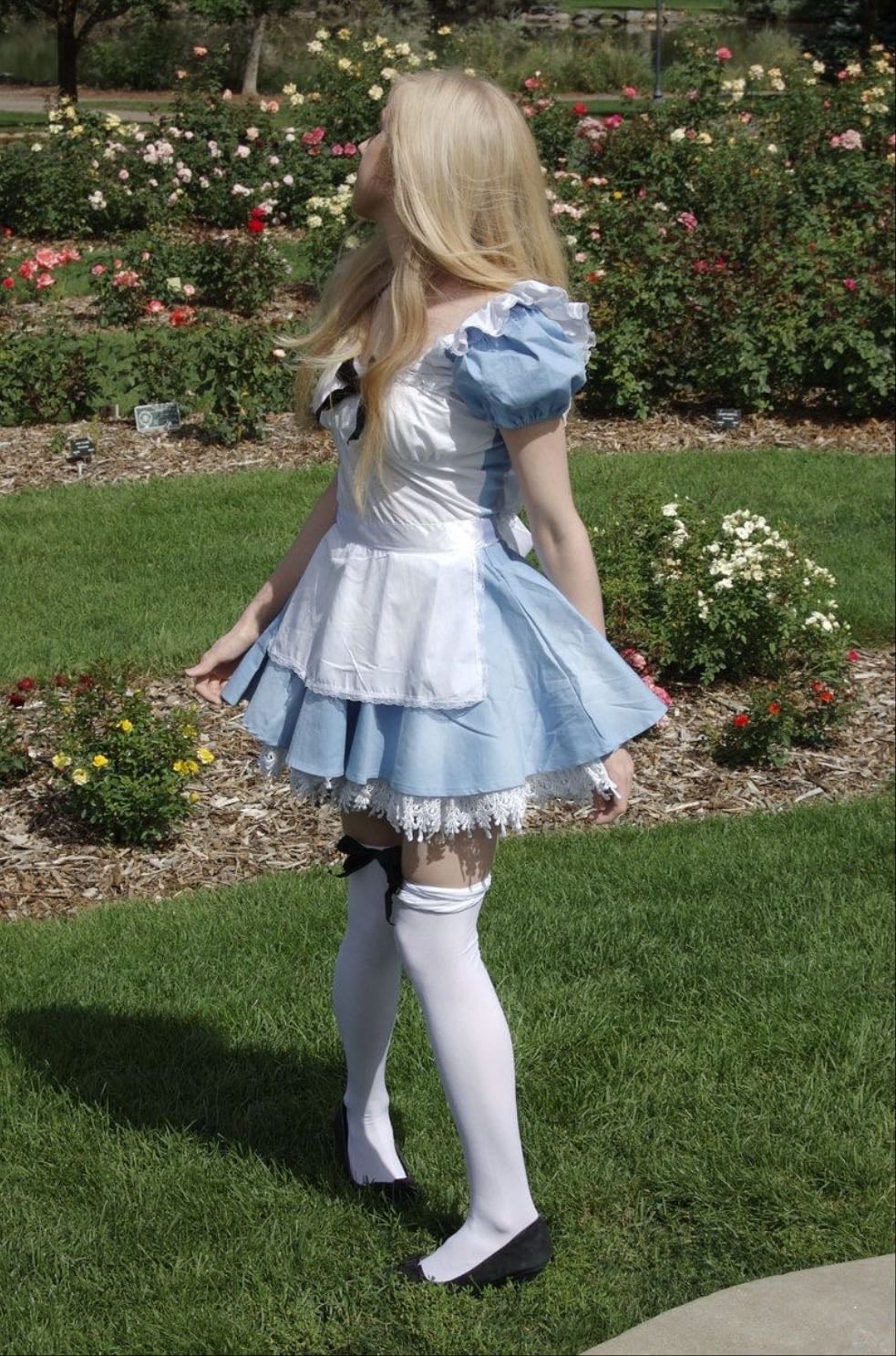 Alice - Alice in wonderland