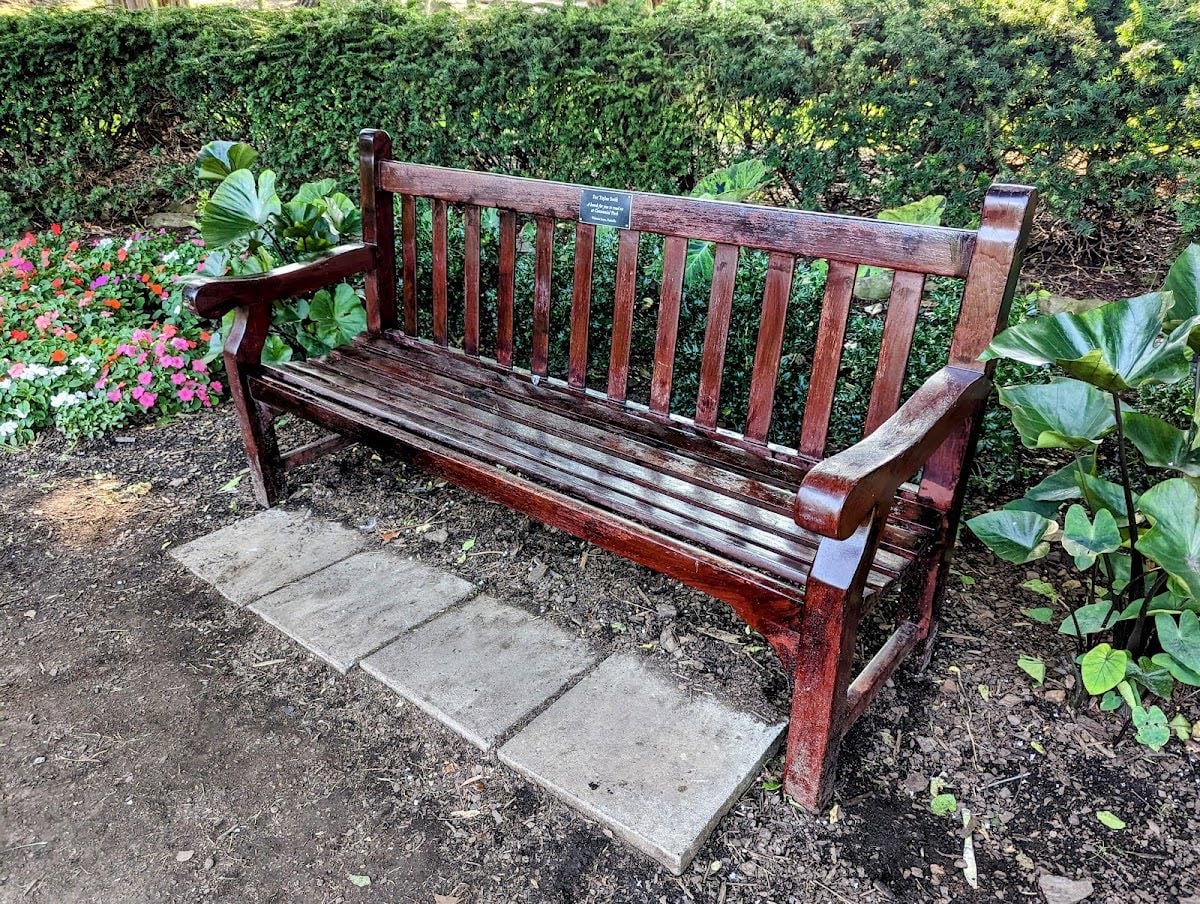Taylor Swift Bench
