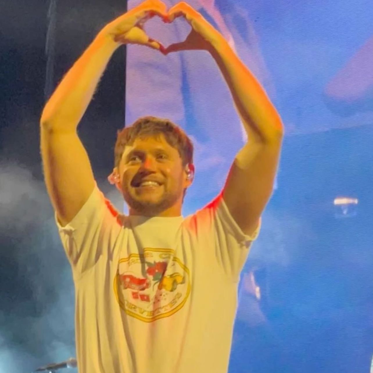 niall horan!! - he has helped me a lot, i love him and his music and he’s just so sweet. he literally saved me